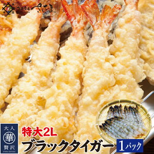 yX[p[SALE 12/3~12/1110OFF!zubN^CK[ 2LTCY Ε ~Mtg N 1pbN20 2pbNw+1pbNv[g L΂GryⓀցz 