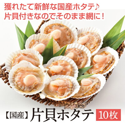 ホタテ殻付き海鮮BBQバーベキューセット国産片貝ホタテ10枚【冷凍便】