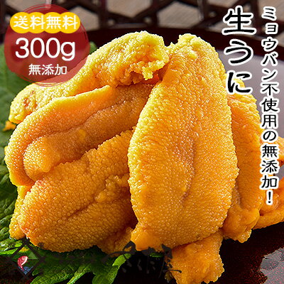 【送料無料】無添加天然生ウニAランクうに300g