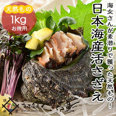 【冷蔵便】日本海産天然活さざえ1kg