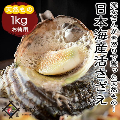 【冷蔵便】日本海産天然活さざえ1kg
