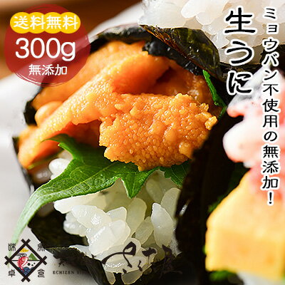 【父の日】【送料無料】無添加天然生ウニAランクうに300g