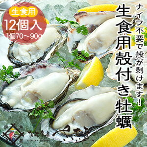 殻付きカキ 12個入り 新鮮生かき【冷凍便】解凍後 生牡蠣として食べられます