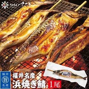CNo[xL[Zbg BBQ ĎI lĂ ĂI 30Z`TCYyⓀցz 
