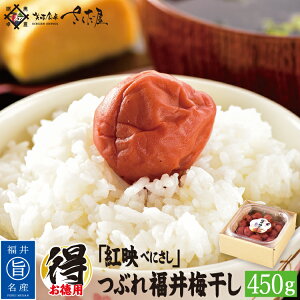 ~Ђ Ԃ~ ۑsgp 䌧Y 18 󂠂 ߂ڂ ~ 450g y퉷ցz  hV̓