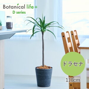 hZi   Ԍt tFCNO[ 110cm 傫 ^ 傫 }Wi[^ G} A   CeA A }Mi[^ L R sv 25088
