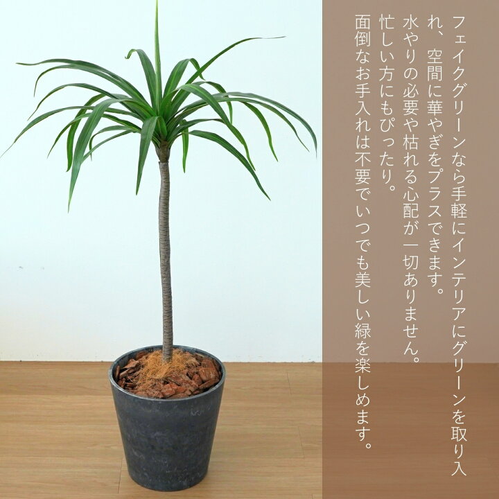 楽天市場】ドラセナ 風水 玄関 花言葉 フェイクグリーン 110cm 大きい 