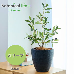 I[u Ԍt  ϗtA 65cm tFCNO[  G} Ȕt  CeA A tFCNO[ ~j L C G} R sv   25085
