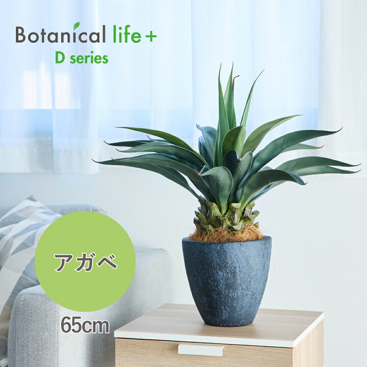 楽天市場】リュウゼツラン アガベ 多肉植物 鉢 フェイクグリーン 65cm 