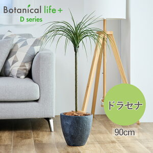 hZi tFCNO[ 90cm 傫 ^ 傫 G} A   CeA A L R sv RVl J{WA[i }Wi[^ }Mi[^