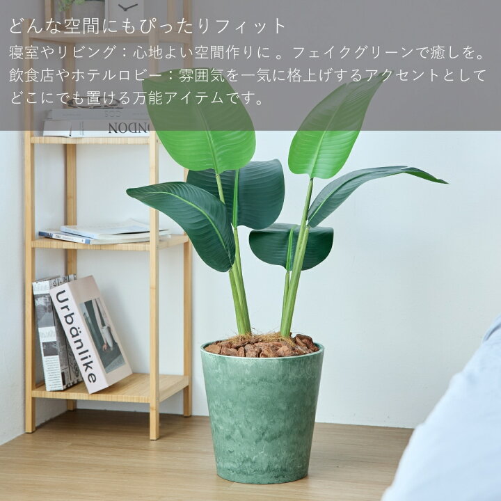 楽天市場】オーガスタ フェイクグリーン 80cm 観葉植物 ストレリチア 
