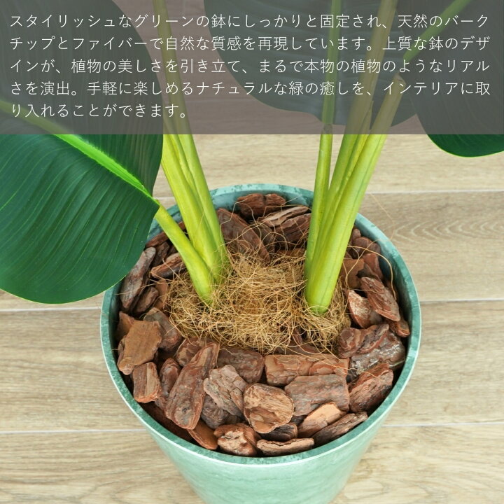 楽天市場】オーガスタ フェイクグリーン 80cm 観葉植物 ストレリチア 
