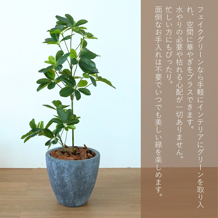楽天市場】シェフレラ フェイクグリーン 観葉植物 65cm 花言葉 風水 