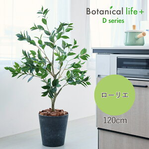 ^ tFCNO[ [G 120cm Ԍt  傫 傫 G} t A  QbPCW c  CeA A L R sv 25077