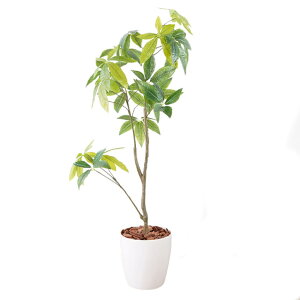 tFCNO[ G} pL ϗtA tFCNO[ lHϗtA tFCNO[ A  ^ pL 120cm ϗtA tFCNO[ tBJX ϗtA tFCNO[