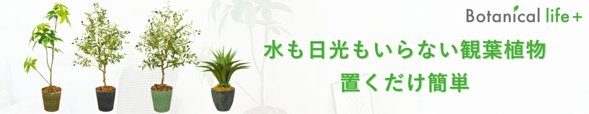 スマホトップ固定カルーセルバナー