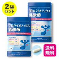 【2個セット 送料無料】 プロバイオティクス乳酸菌 31粒【日本製】 ビフィズス菌 乳酸菌 ガセリ菌 フェカ…