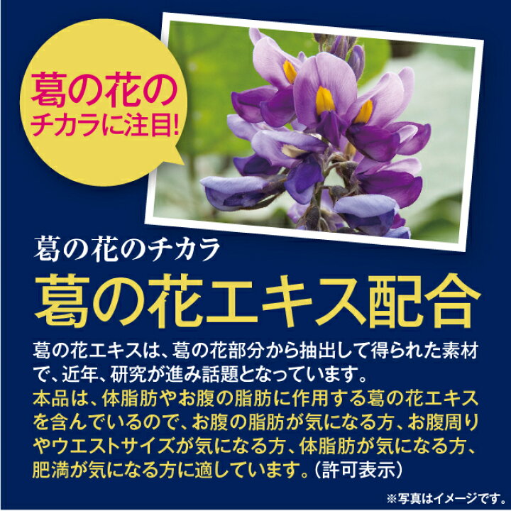 楽天市場 2 4 時 ﾎﾟｲﾝﾄ最大34倍 特定保健用食品 葛花烏龍茶 2 5g 30包 日本製 葛の花 葛花 茶 お茶 ウーロン茶 烏龍茶 体脂肪 肥満 ｂｍｉ ウエスト おなか お腹まわり 気になる方に ダイエット サポート 健康食品 特定保健用食品 特保 トクホ サプリメント