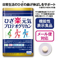 【単品/2個セット 送料無料】【機能性表示食品】 ひざ楽元気プロテオグリカン 31粒【日本製】 プロテオグ…