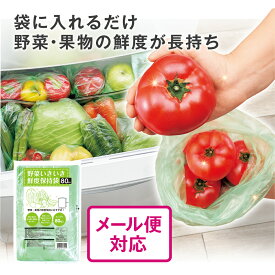 【単品/2個/6個セット 送料無料】 野菜いきいき鮮度保持袋(80枚入) 野菜 果物 傷みやすい 鮮度 長持ち 天然成分 ゼオライト エチレンガス 吸着 腐敗 衛生的 使い切りタイプ 保存 袋 ポリ袋 ビニール袋 ビニル袋 鮮度保持袋