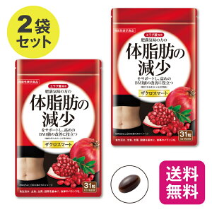 y279:59܂Ń|Cgő32{zyPi/2Zbg zy@\\Hiz UNX}[g 31 y{z  GO_ 얞C ̏d ̎b b b EGXg