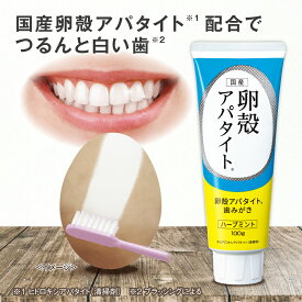 【単品/3個セット 送料無料】 卵殻アパタイト歯みがき 100g【日本製】 卵殻 アパタイト 卵殻膜エキス ハミガキ 歯みがき 歯磨き はみがき 黄ばみ 着色 汚れ 口臭 除去 白い歯 中発泡 ペーストタイプ 磨きやすい ハーブミント すっきり