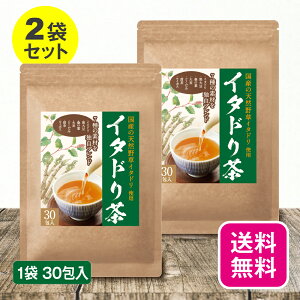 【単品/2個セット 送料無料】 イタドリ茶 2g×30包【日本製】 国産 イタドリ 茶 天然野草 いたどり 黒大豆 桑の葉 大麦 どくだみ 甜茶 ルイボス ノンカフェイン ティーバッグ 30個 おいしい お