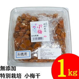 竹内農園 特別栽培 小梅干 1kg 紀州産 梅干し 小梅 着色料 保存料 無添加 梅干し うめぼし ウメボシ 家庭用 お徳用 小粒 塩分 すっぱい スッパイ 天日塩 和歌山県産 塩のみ 塩だけ 塩 のみ 塩 だけ 塩分濃度 18％ 塩分15以上 しょっぱい梅干し