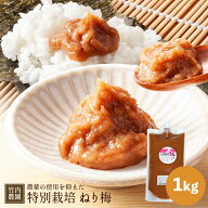 竹内農園 特別栽培 ねり梅 1kg チューブ 練り梅 保存料 無添加 南高梅干し 特栽 国産 和歌山産 業務用 塩…