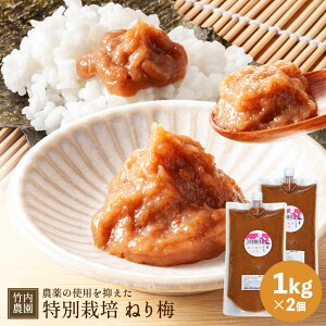 |_ ʍ͔| ˂~ 1kg×2 2kg `[u ~ ۑ Y 썂~  Y a̎RY Ɩp  썂~ 썂~ ~100% ~ y[Xg ~ ׂ~ ~ ~ɂ ~ 