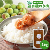 竹内農園 有機 ねり梅 1kg チューブ 有機JAS 無添加 練り梅 南高梅干し 国産 和歌山産 業務用 塩だけ 有…