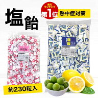 塩飴 業務用 個包装 塩あめ 1kgしおあめ 熱中症対策 梅味 キャンディー 塩 あめ 塩分補給 飴 おやつ まと…