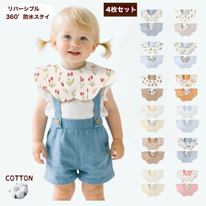 X^C h hX^C h悾ꂩ 悾| j̎q ̎q 360 hX^C 悾Jo[  O| ܂邢X^C 360° 360x xr[ Ԃ q o[Vu 悾  