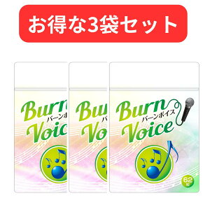 y3܃ZbgzJIP Tv  BURN VOICE (o[{CX) S_}OlVE Vi Ki ̃PA Tvg 62 {