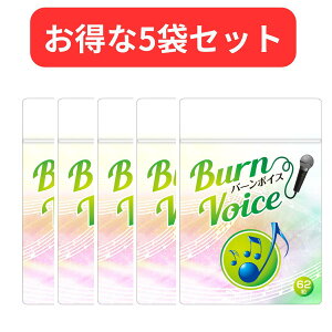 y5܃ZbgzJIP Tv  BURN VOICE (o[{CX) S_}OlVE Vi Ki ̃PA Tvg 62 {