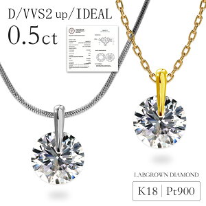 ネックレス 18金 ダイヤモンド 0.5ct」の人気商品一覧 | 安い商品を 