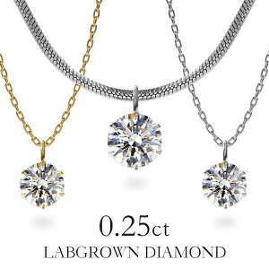 {OE_Ch lbNX 0.25ct  ꗱ _C lbNX fB[X {OE _Ch AM[Ή lbNX Vv XeX316L  ꗱ_