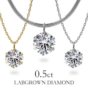 {OE_Ch lbNX 0.5ct Ӓ菑t ꗱ _C lbNX fB[X {OE _Ch AM[Ή lbNX Vv XeX316L  ꗱ_