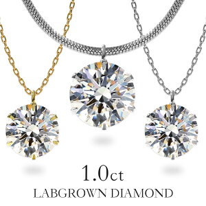 yN[|p15%OFFz{OE_Ch Ӓ菑t lbNX 1.0ct  ꗱ _C lbNX fB[X AM[Ή lbNX XeX316L  ꗱ_C