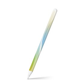 Apple Pencil 第2世代 専用スキンシール アップル アップルペンシル iPad Pro ApplePen カバー ケース フィルム ステッカー アクセサリー 保護 001803 シンプル　黄色　青