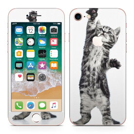 iPhone7 対応 アイフォン 全面スキンシール フル 背面 側面 正面 液晶 スマホケース ステッカー スマホカバー ケース 保護シール スマホ スマートフォン 人気 001200 ネコ　動物