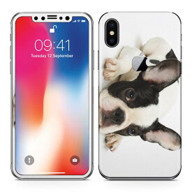 iPhoneX 対応 アイフォン テン 全面スキンシール フル 背面 側面 正面 液晶 スマホケース ステッカー スマホカバー ケース 保護シール スマホ スマートフォン 人気 000889 犬　フレンチブルドック