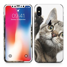 iPhoneX 対応 アイフォン テン 全面スキンシール フル 背面 側面 正面 液晶 スマホケース ステッカー スマホカバー ケース 保護シール スマホ スマートフォン 人気 002674 猫　動物　写真