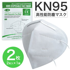 即納　在庫あり KN95 N95 マスク 2枚入り 5層構造 不織布 男女兼用 大人用 花粉症対策 PM2.5 飛沫感染対策 風邪 咳 くしゃみ 黄砂 ハウスダスト