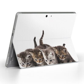 Surface Go 3 / Surface Go 2 Surface Go 全世代対応 用スキンシール サーフェス go igsticker シール スキン 保護 フィルム ステッカー アクセサリー 005928 アニマル 写真　動物　猫　ねこ