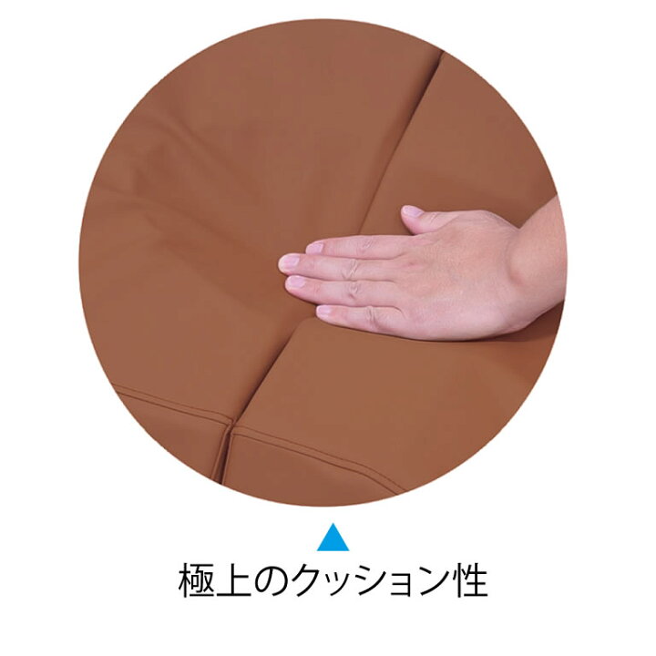 楽天市場】【ポイント6倍】高田ベッド ボディマットD1 整体マクラ 