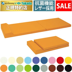 y|Cg6{zy1125Ԍzcxbh ܂ꉼ}bg }bg ܂肽 }bg }bT[W}bg NbV Xp N[[V Y TB-818