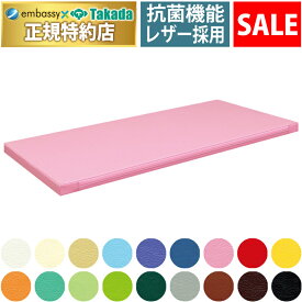 【ポイント6倍】【12月22日迄期間限定】高田ベッド レザー製マット マッサージマット マッサージクッション トレーニングマット 訓練マット クッションマット 医療用 施術用 国産 TB-95