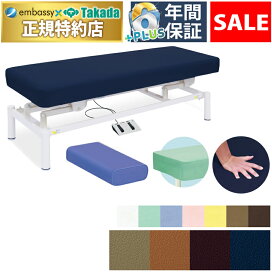 楽天市場】【ポイント6倍】高田ベッド 無孔電動ステップキャリー 電動 