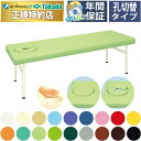 【ポイント6倍】高田ベッド オメガ式MRベッド マッサージベッド 埋めこみ式クッション 施術用 整体用 整体 エステ ア…